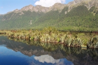 Mirror Lake New Zealand